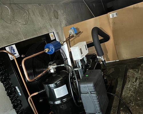 469833759_18047570927107079_1055666471643982135_n